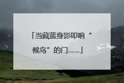 当藏蓝身影叩响“候鸟”的门……
