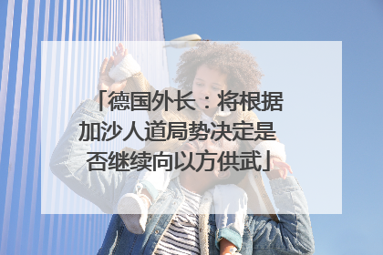 德国外长：将根据加沙人道局势决定是否继续向以方供武
