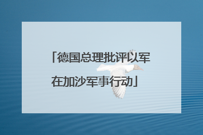 德国总理批评以军在加沙军事行动