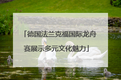 德国法兰克福国际龙舟赛展示多元文化魅力