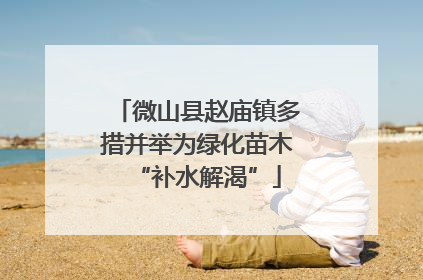 微山县赵庙镇多措并举为绿化苗木“补水解渴”