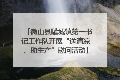 微山县驩城镇第一书记工作队开展“送清凉、助生产”慰问活动