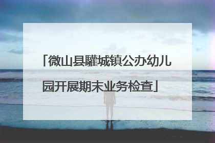 微山县驩城镇公办幼儿园开展期末业务检查
