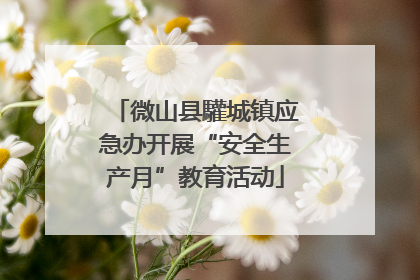 微山县驩城镇应急办开展“安全生产月”教育活动