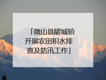 微山县驩城镇开展农田积水排查及防汛工作