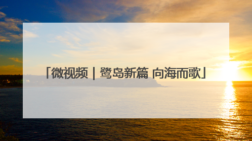 微视频｜鹭岛新篇 向海而歌