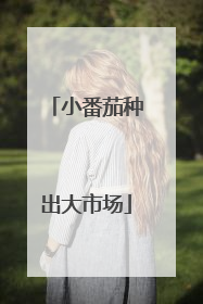 小番茄种出大市场