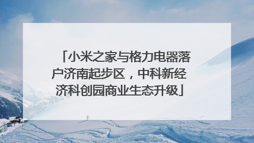 小米之家与格力电器落户济南起步区，中科新经济科创园商业生态升级
