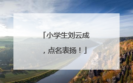 小学生刘云成，点名表扬！