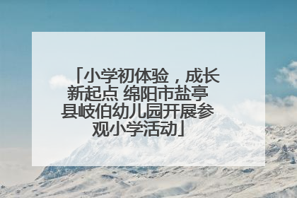 小学初体验，成长新起点 绵阳市盐亭县岐伯幼儿园开展参观小学活动