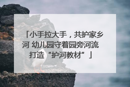 小手拉大手，共护家乡河 幼儿园守着园旁河流打造“护河教材”