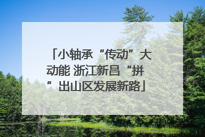 小轴承“传动”大动能 浙江新昌“拼”出山区发展新路