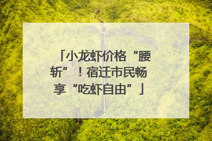 小龙虾价格“腰斩”！宿迁市民畅享“吃虾自由”