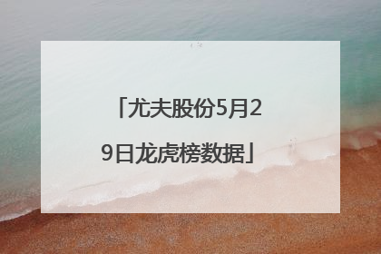 尤夫股份5月29日龙虎榜数据