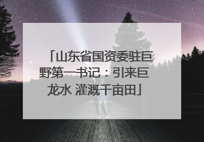 山东省国资委驻巨野第一书记：引来巨龙水 灌溉千亩田