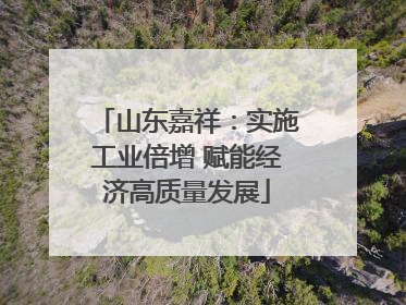 山东嘉祥：实施工业倍增 赋能经济高质量发展
