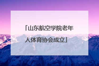 山东航空学院老年人体育协会成立