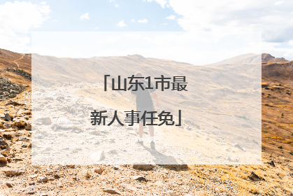 山东1市最新人事任免
