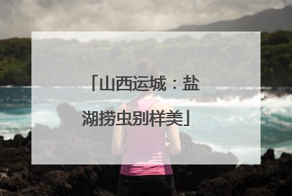 山西运城：盐湖捞虫别样美