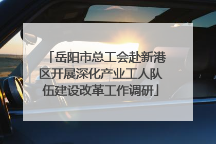 岳阳市总工会赴新港区开展深化产业工人队伍建设改革工作调研