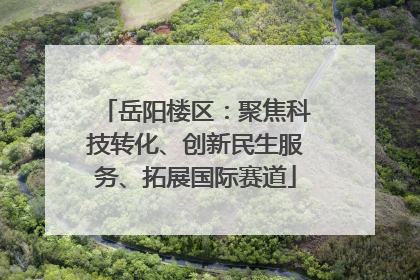 岳阳楼区：聚焦科技转化、创新民生服务、拓展国际赛道