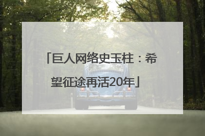 巨人网络史玉柱：希望征途再活20年