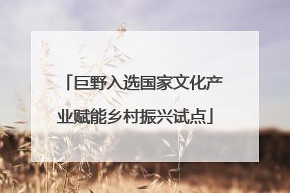 巨野入选国家文化产业赋能乡村振兴试点