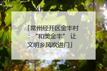 常州经开区金丰村：“和美金丰” 让文明乡风吹进门
