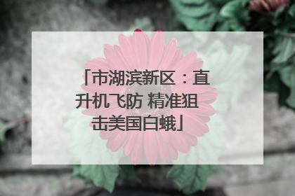 市湖滨新区：直升机飞防 精准狙击美国白蛾