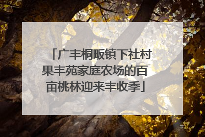 广丰桐畈镇下社村果丰苑家庭农场的百亩桃林迎来丰收季
