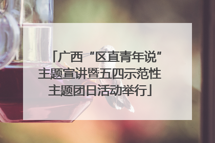 广西“区直青年说”主题宣讲暨五四示范性主题团日活动举行