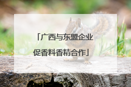广西与东盟企业促香料香精合作