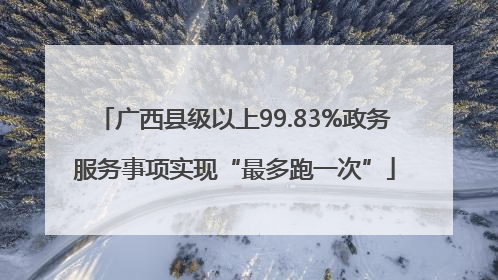 广西县级以上99.83%政务服务事项实现“最多跑一次”