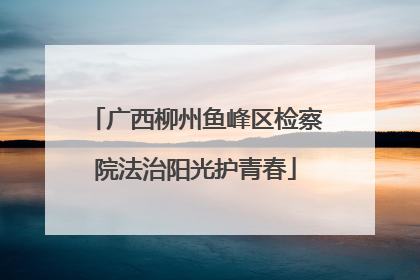 广西柳州鱼峰区检察院法治阳光护青春