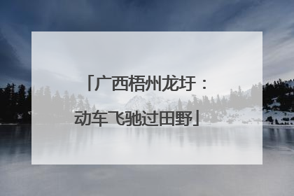 广西梧州龙圩：动车飞驰过田野