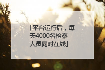 平台运行后，每天4000名检察人员同时在线
