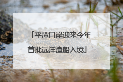 平潭口岸迎来今年首批远洋渔船入境