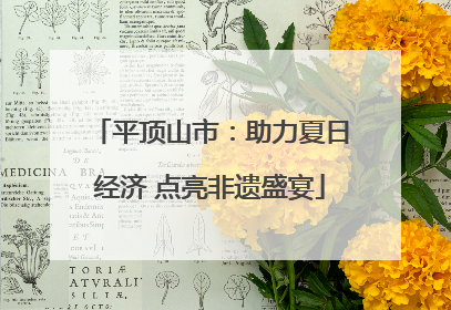 平顶山市：助力夏日经济 点亮非遗盛宴