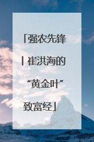 强农先锋丨崔洪海的“黄金叶”致富经