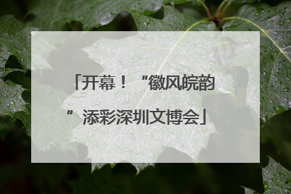 开幕！“徽风皖韵”添彩深圳文博会