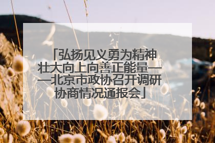 弘扬见义勇为精神 壮大向上向善正能量——北京市政协召开调研协商情况通报会