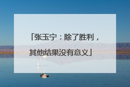 张玉宁：除了胜利，其他结果没有意义