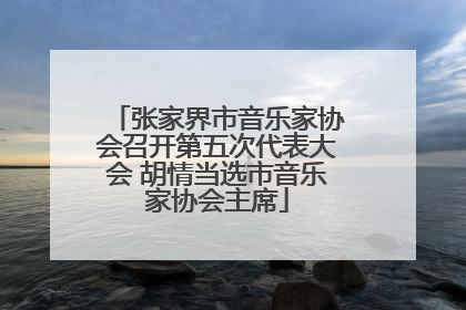 张家界市音乐家协会召开第五次代表大会 胡情当选市音乐家协会主席
