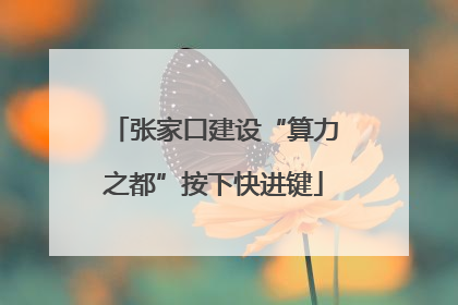 张家口建设“算力之都”按下快进键