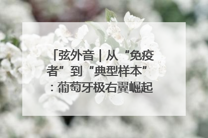 弦外音｜从“免疫者”到“典型样本”：葡萄牙极右翼崛起背后的欧洲困局