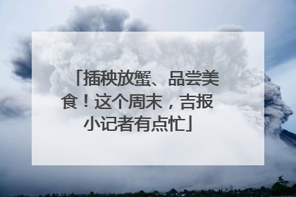插秧放蟹、品尝美食！这个周末，吉报小记者有点忙