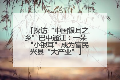 探访“中国银耳之乡”巴中通江：一朵“小银耳”成为富民兴县“大产业”