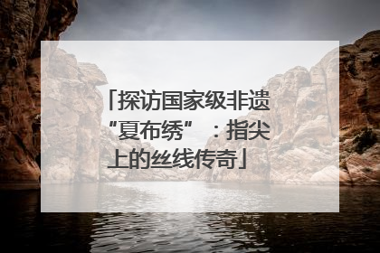 探访国家级非遗“夏布绣”：指尖上的丝线传奇