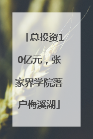 总投资10亿元，张家界学院落户梅溪湖