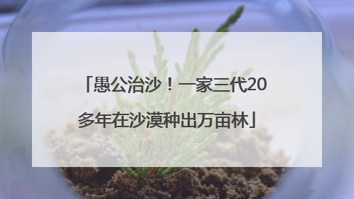 愚公治沙！一家三代20多年在沙漠种出万亩林